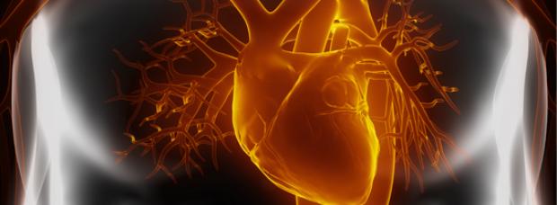 Periodontitis is “officially” ranked as a cardiovascular risk factor
