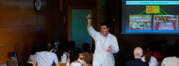 University Diploma in Periodontology at the UCM