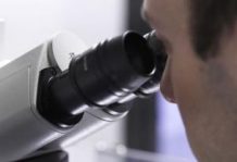 Scientific Research Day: Celebrating the commitment to science