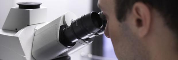 Scientific Research Day: Celebrating the commitment to science