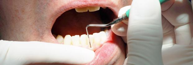 Celebrating the first European Day of Periodontology