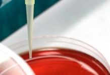 Properties of oral biofilms